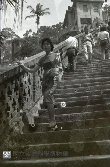 1950至2006年臺灣常民生活藏品圖，第1張