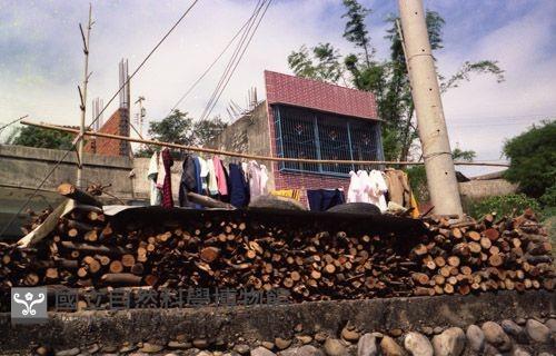 1950至2006年臺灣常民生活藏品圖，第1張