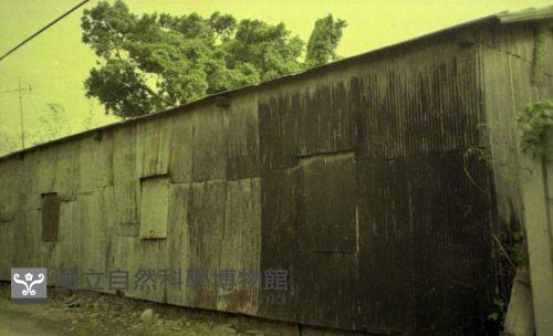 1950至2006年臺灣常民生活藏品圖，第1張