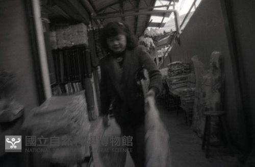 1950至2006年臺灣常民生活藏品圖，第1張