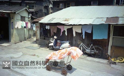 1950至2006年臺灣常民生活藏品圖，第1張