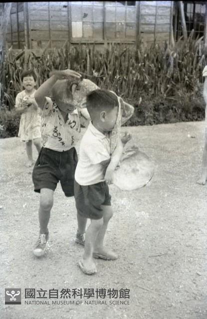 1950至2006年臺灣常民生活藏品圖，第1張