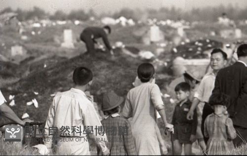 掃墓祭祖（1950至2006年臺灣常民生活）藏品圖，第1張