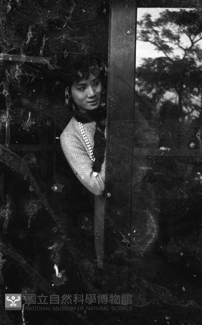 1950至2006年臺灣常民生活藏品圖，第1張