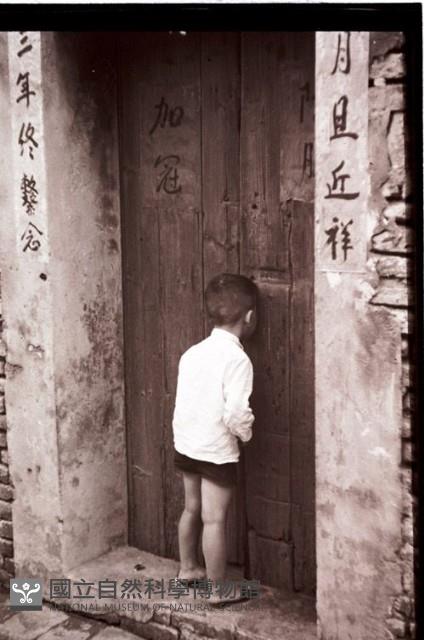 1950至2006年臺灣常民生活藏品圖，第1張