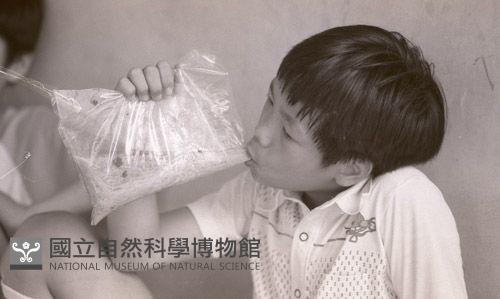 1950至2006年臺灣常民生活藏品圖，第1張