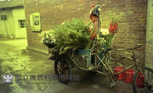 1950至2006年臺灣常民生活藏品圖，第1張