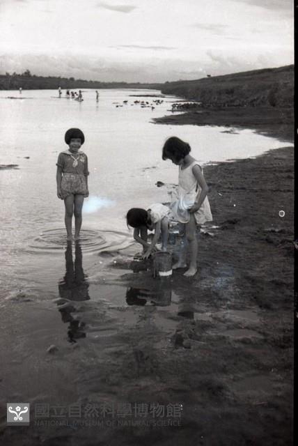1950至2006年臺灣常民生活藏品圖，第1張