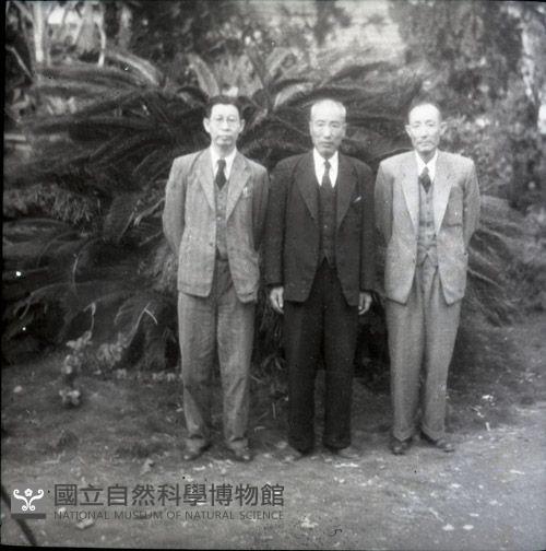 1950至2006年臺灣常民生活藏品圖，第1張