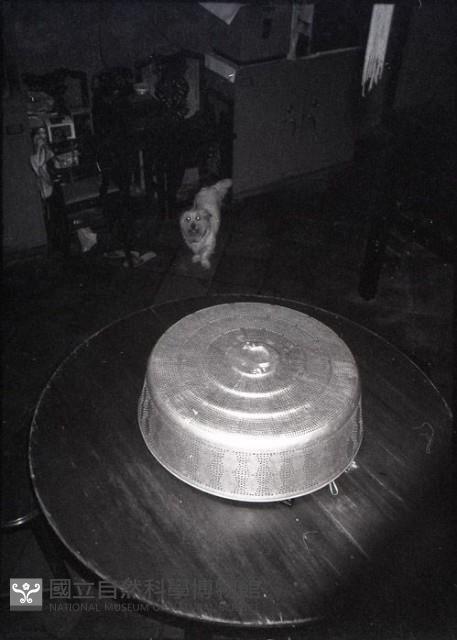 1950至2006年臺灣常民生活藏品圖，第1張