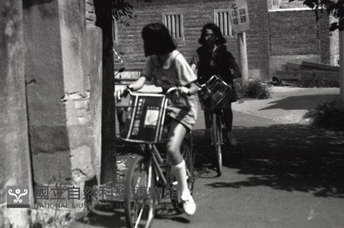 1950至2006年臺灣常民生活藏品圖，第1張