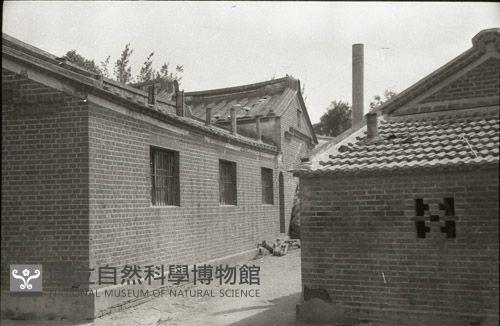 1950至2006年臺灣常民生活藏品圖，第1張