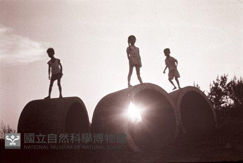 1950至2006年臺灣常民生活藏品圖，第1張