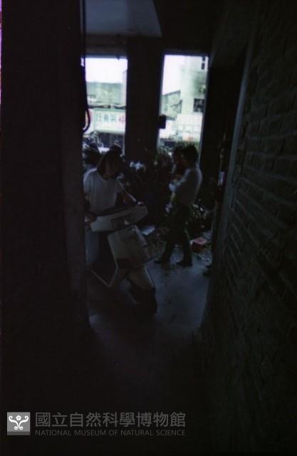 1950至2006年臺灣常民生活藏品圖，第1張