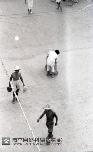1950至2006年台灣常民生活藏品圖，第1張