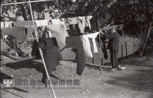 1950至2006年臺灣常民生活藏品圖，第1張
