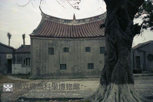 1950至2006年臺灣常民生活藏品圖，第1張
