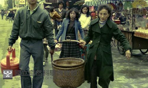 1950至2006年臺灣常民生活藏品圖，第1張