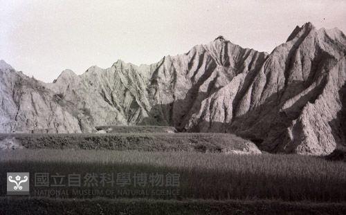 1950至2006年臺灣常民生活藏品圖，第1張
