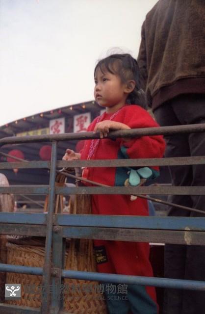 1950至2006年臺灣常民生活藏品圖，第1張
