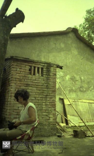 1950至2006年臺灣常民生活藏品圖，第1張