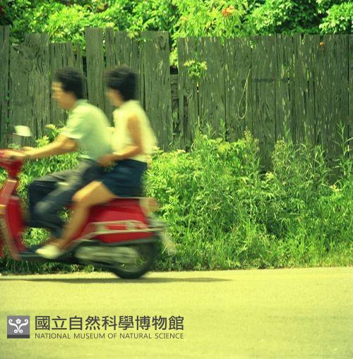 1950至2006年臺灣常民生活藏品圖，第1張