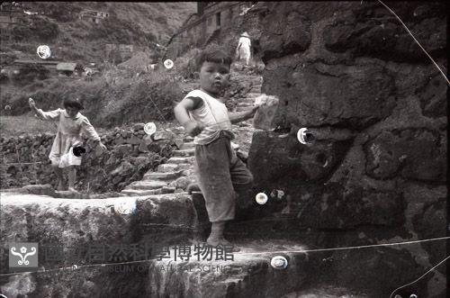 1950至2006年臺灣常民生活藏品圖，第1張