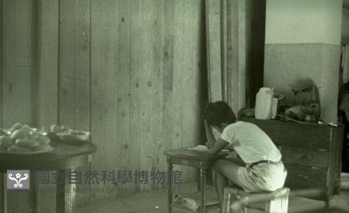 1950至2006年臺灣常民生活藏品圖，第1張