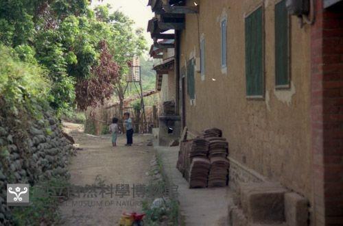 1950至2006年臺灣常民生活藏品圖，第1張