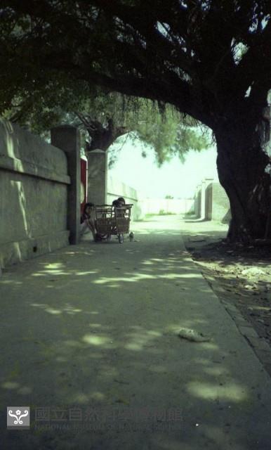 1950至2006年臺灣常民生活藏品圖，第1張