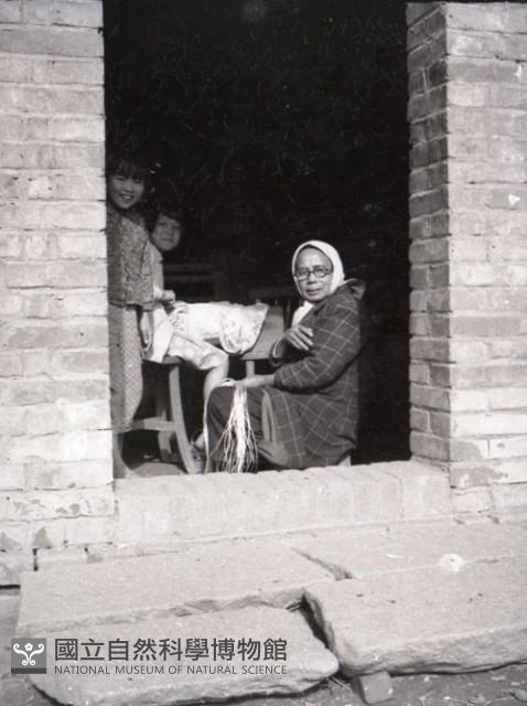 1950至2006年台灣常民生活藏品圖，第1張