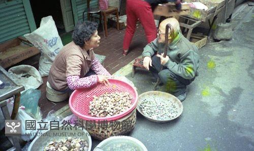 1950至2006年臺灣常民生活藏品圖，第1張