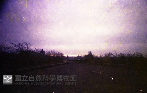 Accession Number:MP2007012192 Collection Image