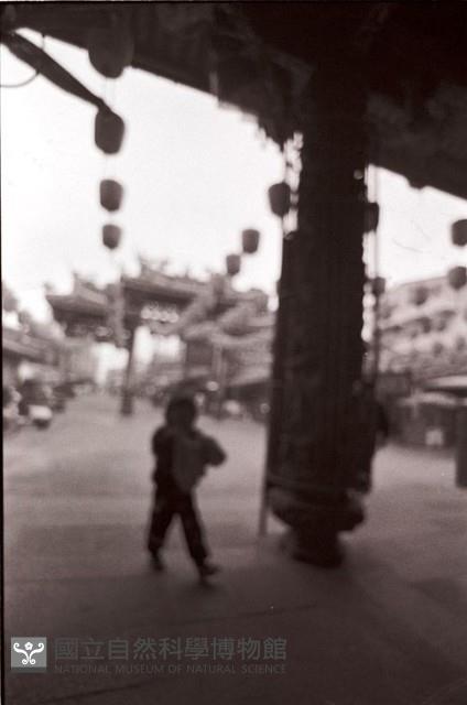 1950至2006年臺灣常民生活藏品圖，第1張