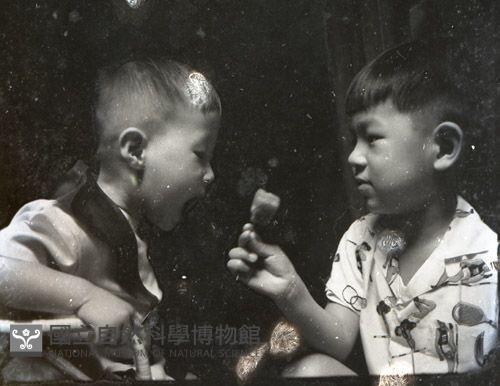 1950至2006年台灣常民生活藏品圖，第1張