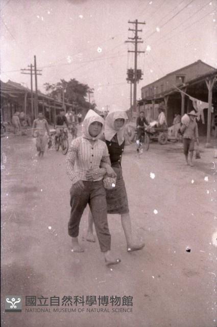 1950至2006年臺灣常民生活藏品圖，第1張