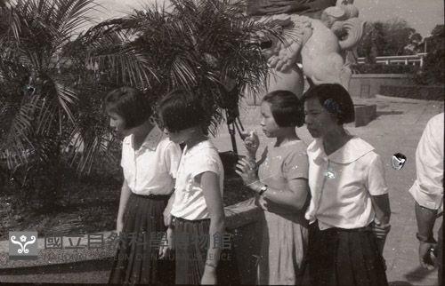 1950至2006年臺灣常民生活藏品圖，第1張