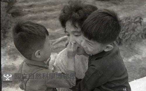 1950至2006年臺灣常民生活 藏品圖，第1張