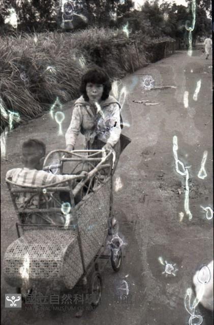 1950至2006年臺灣常民生活藏品圖，第1張