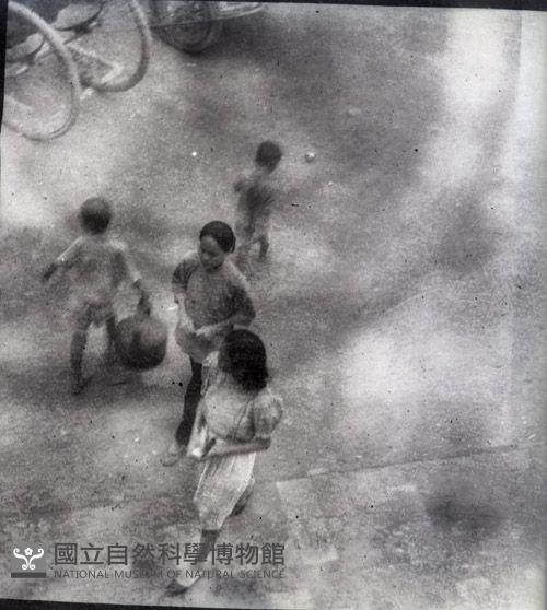 1950至2006年臺灣常民生活藏品圖，第1張