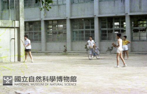 1950至2006年臺灣常民生活藏品圖，第1張