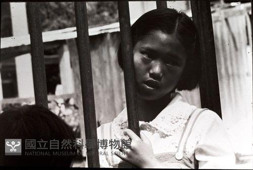 1950至2006年臺灣常民生活藏品圖，第1張