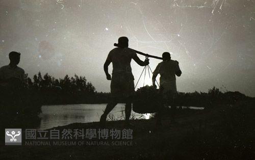 1950至2006年臺灣常民生活藏品圖，第1張
