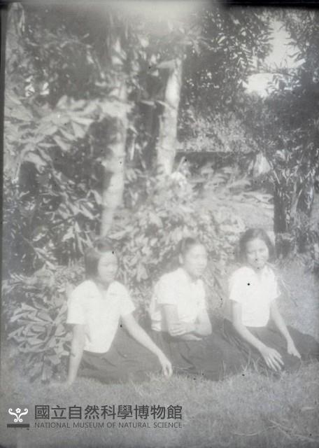 1950至2006年臺灣常民生活藏品圖，第1張