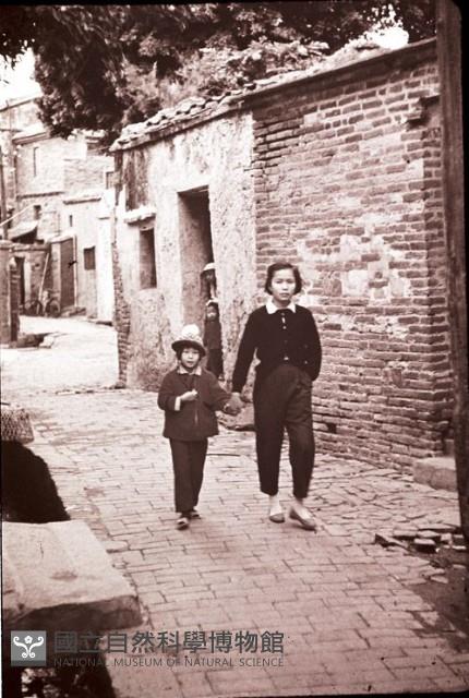 1950至2006年臺灣常民生活藏品圖，第1張