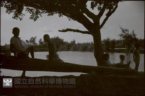 1950至2006年臺灣常民生活藏品圖，第1張