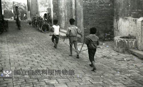 1950至2006年臺灣常民生活藏品圖，第1張
