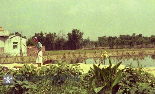 1950至2006年臺灣常民生活藏品圖，第1張