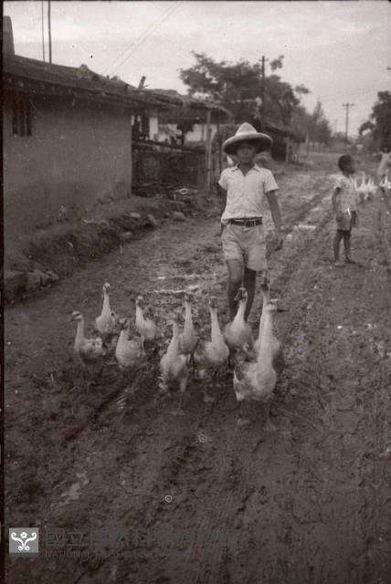1950至2006年臺灣常民生活藏品圖，第1張