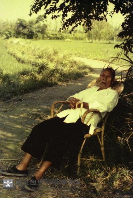 1950至2006年臺灣常民生活藏品圖，第1張